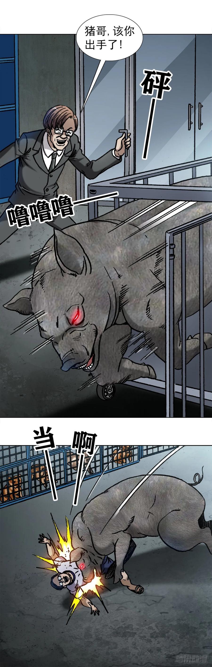 1030大黑猪-中国惊奇先生（神鬼七杀令）-权迎升（第6张）