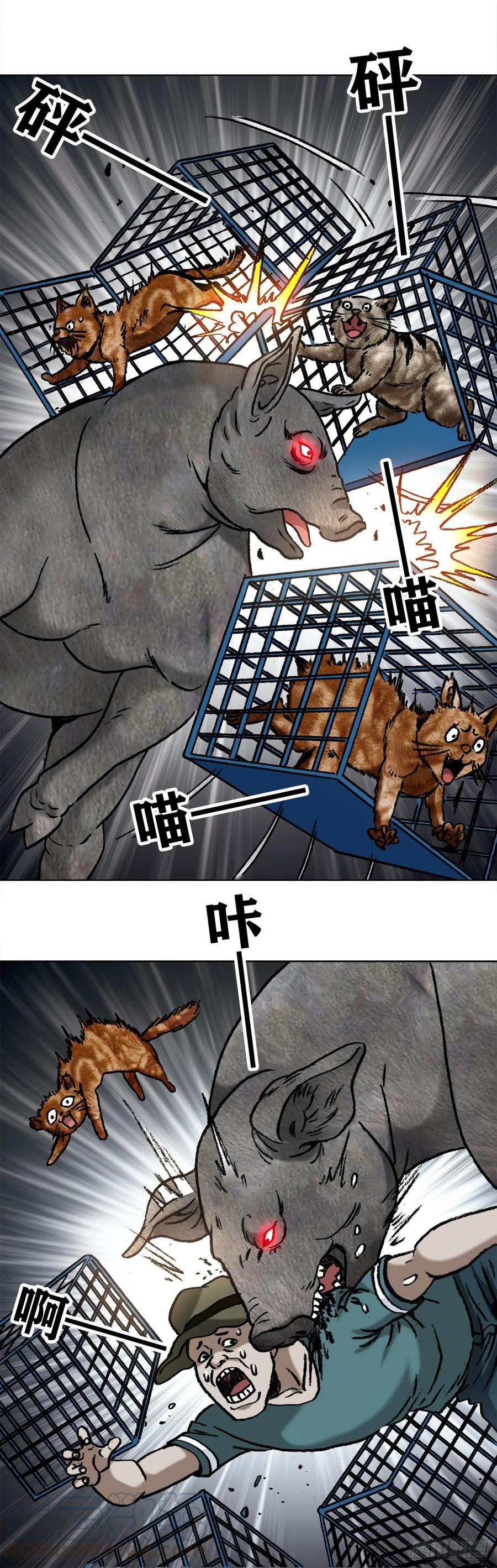 1030大黑猪-中国惊奇先生（神鬼七杀令）-权迎升（第7张）