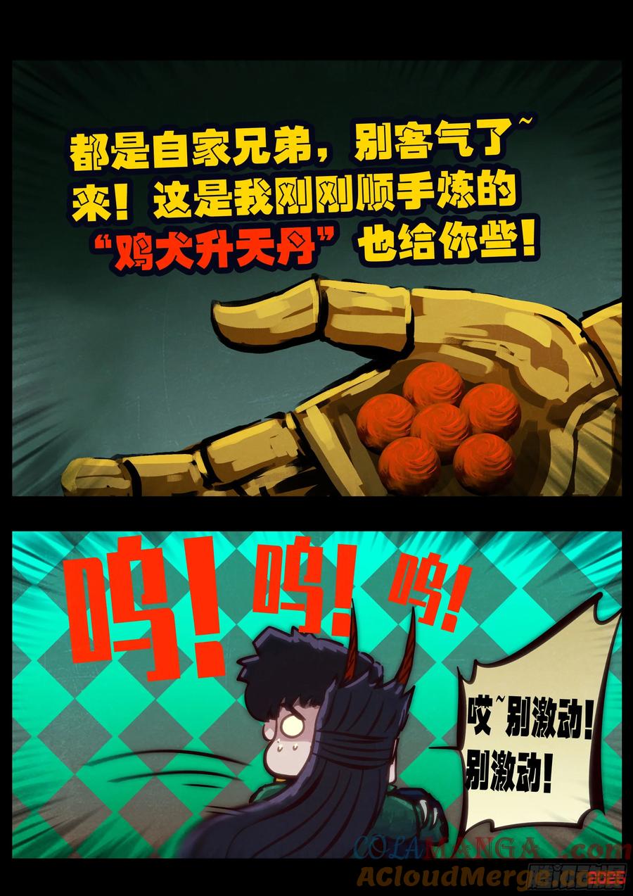 13.jpg