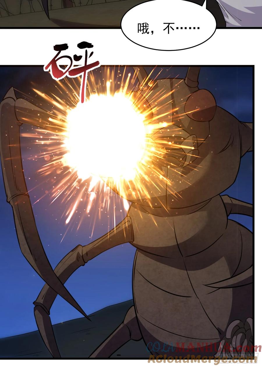21.jpg