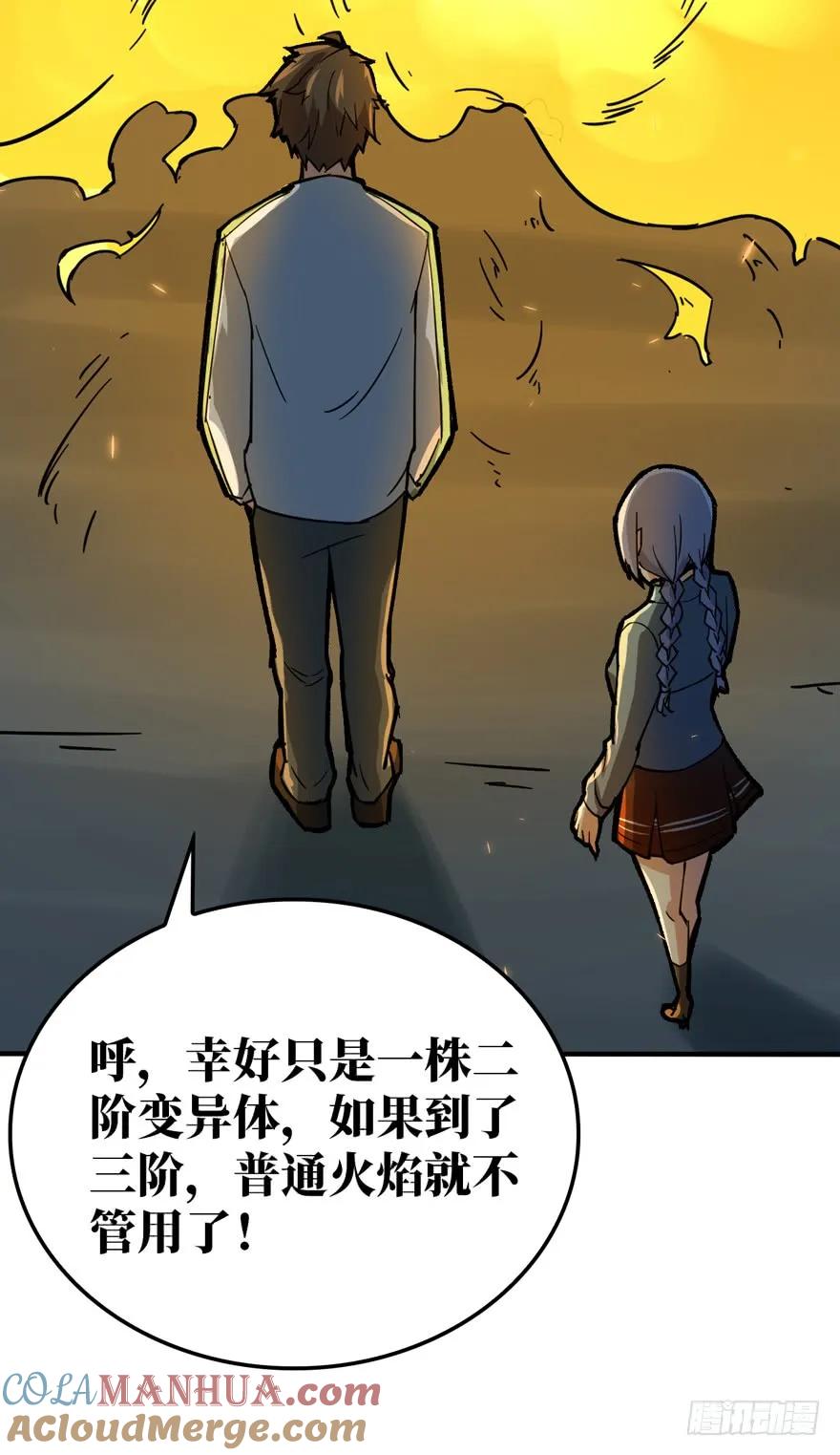 31.jpg