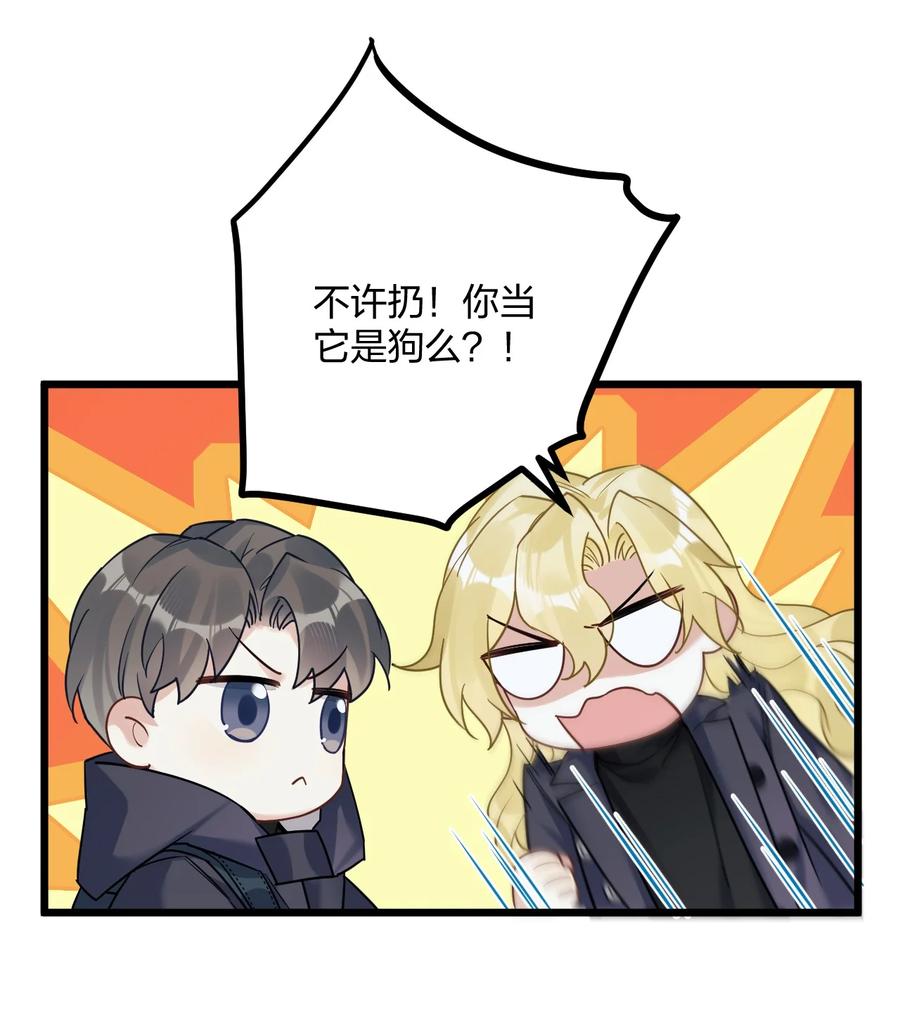 21.jpg