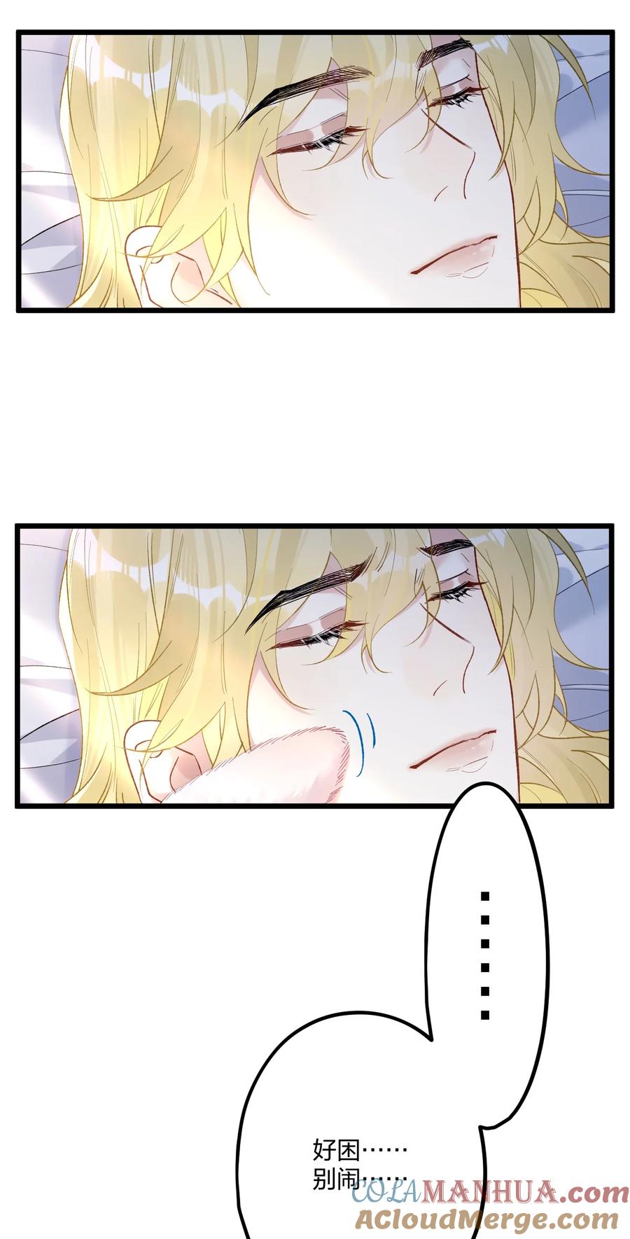 40.jpg