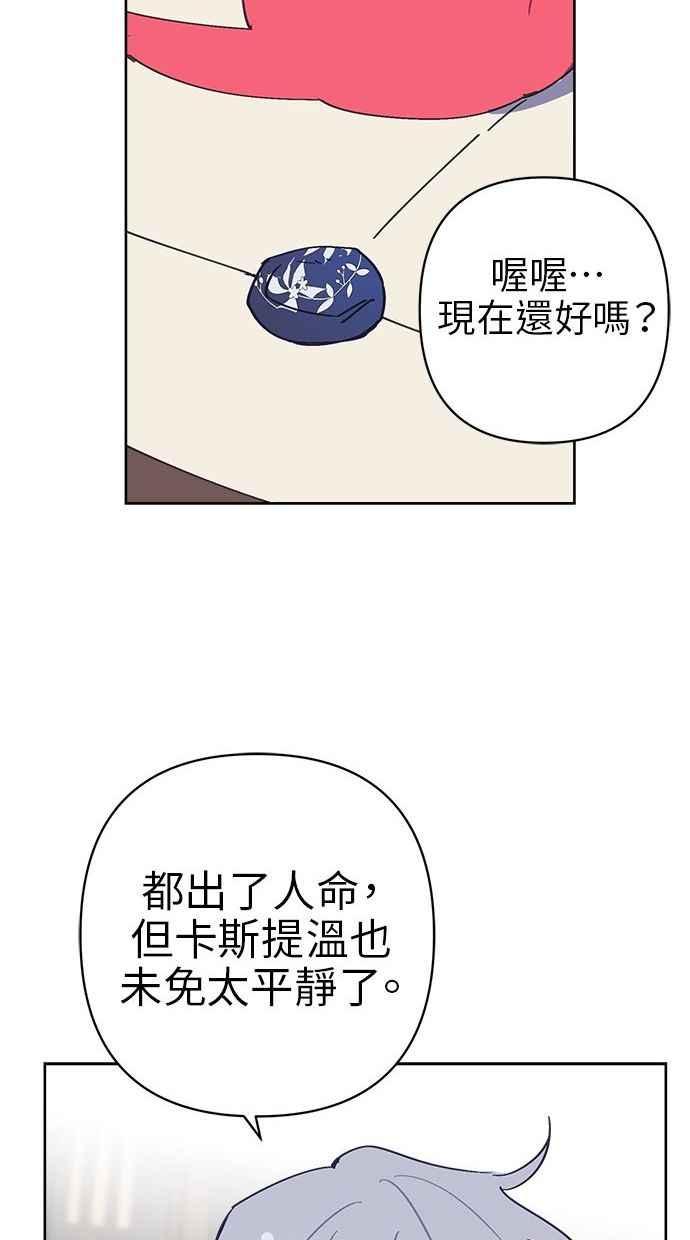 48.jpg