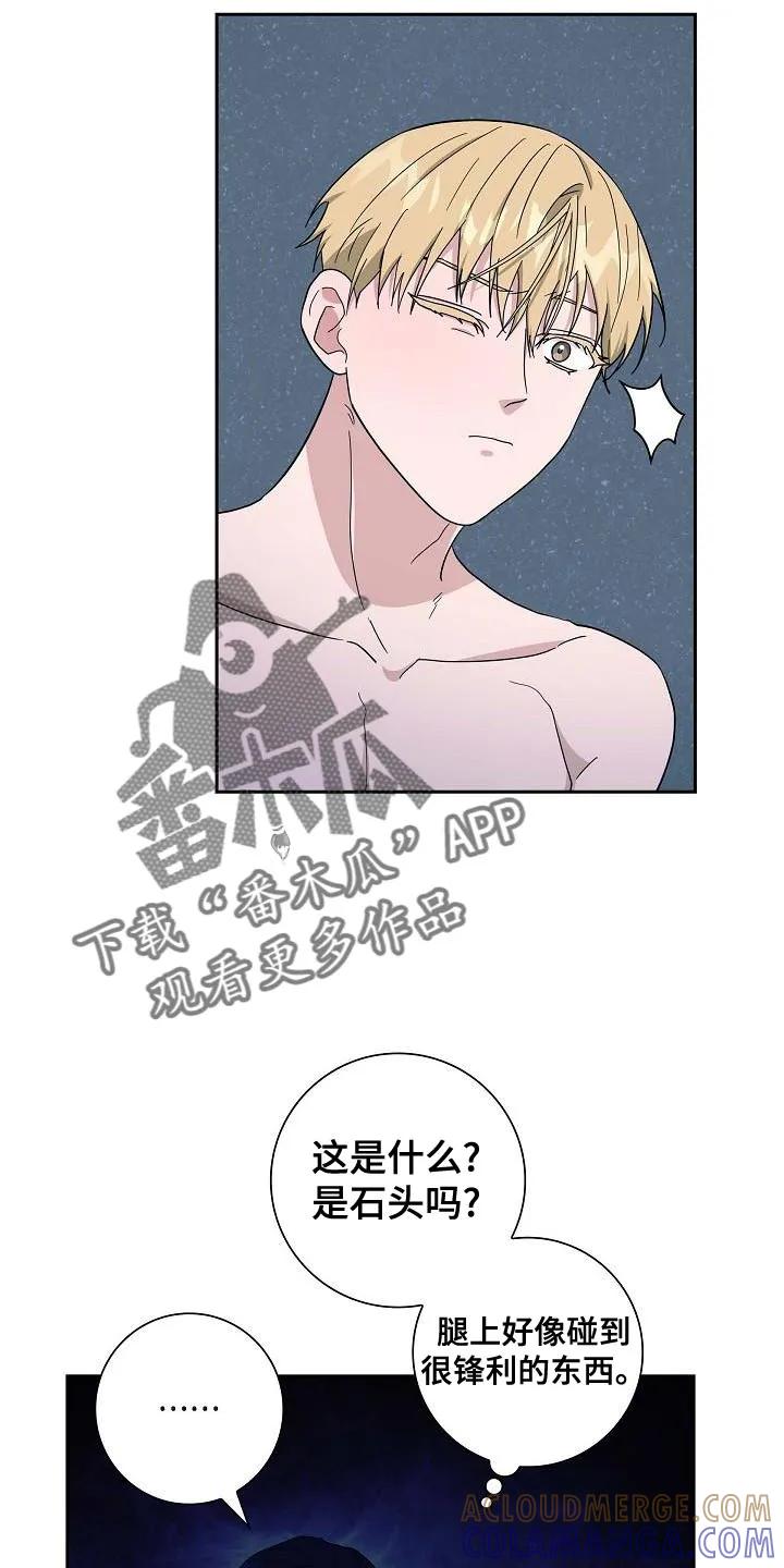 第61章：你的家族-姻缘天注定-ROAMM（第4张）