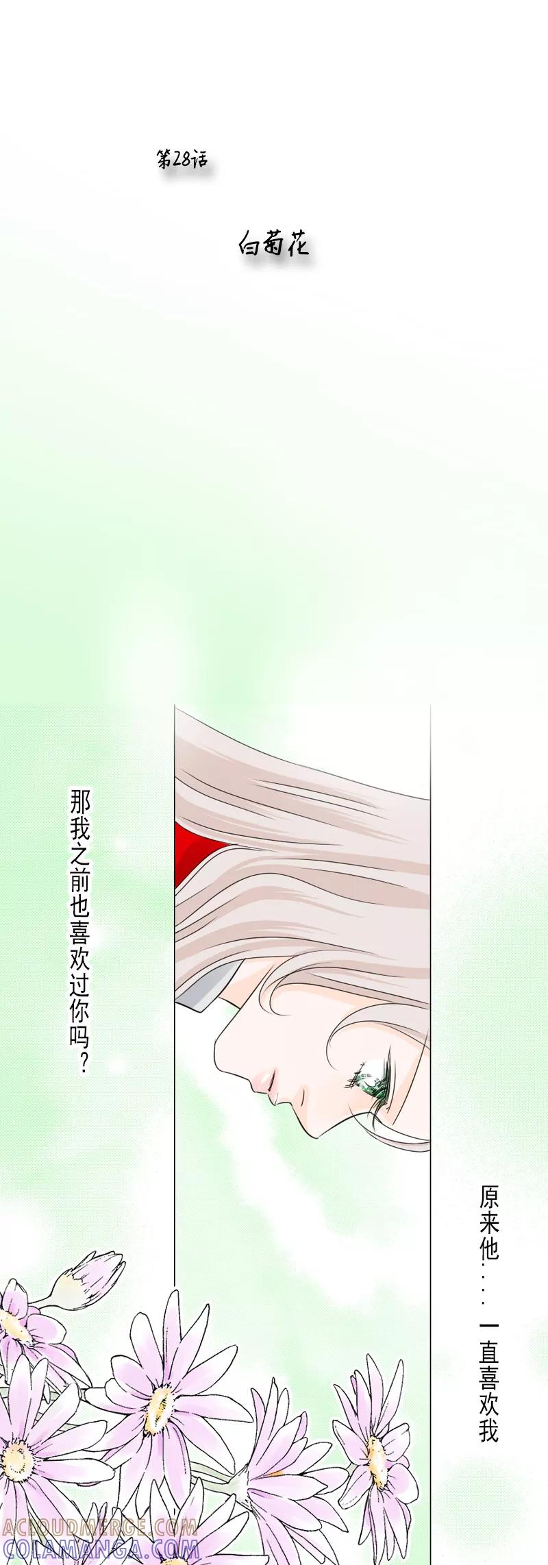 第28话白菊花-耳机-蓝文文化（第2张）