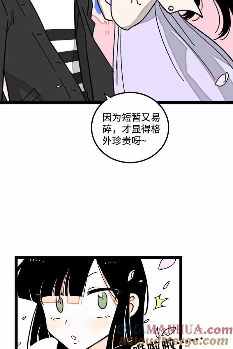 第103话樱花-周一至周末-森雨漫（第15张）