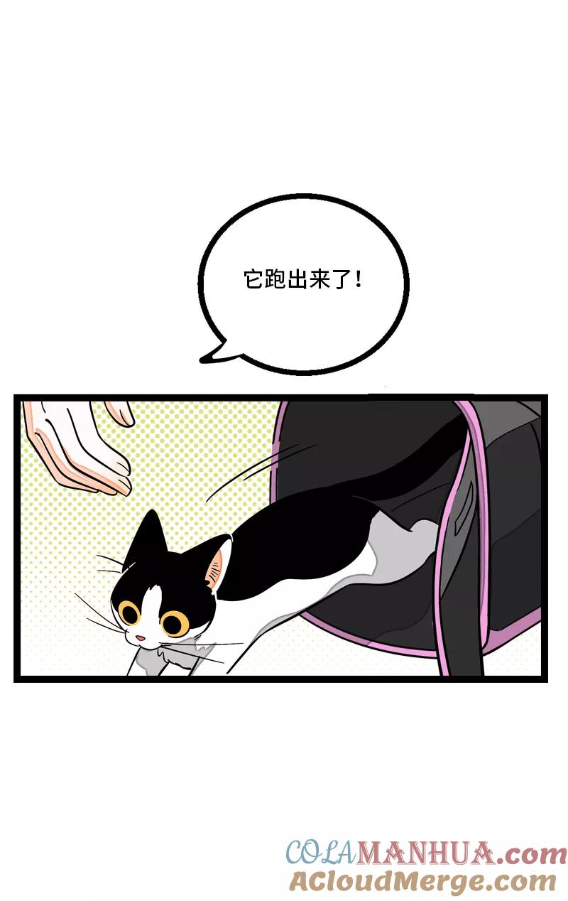 第10话叫我的名字就好-周一至周末-森雨漫（第9张）