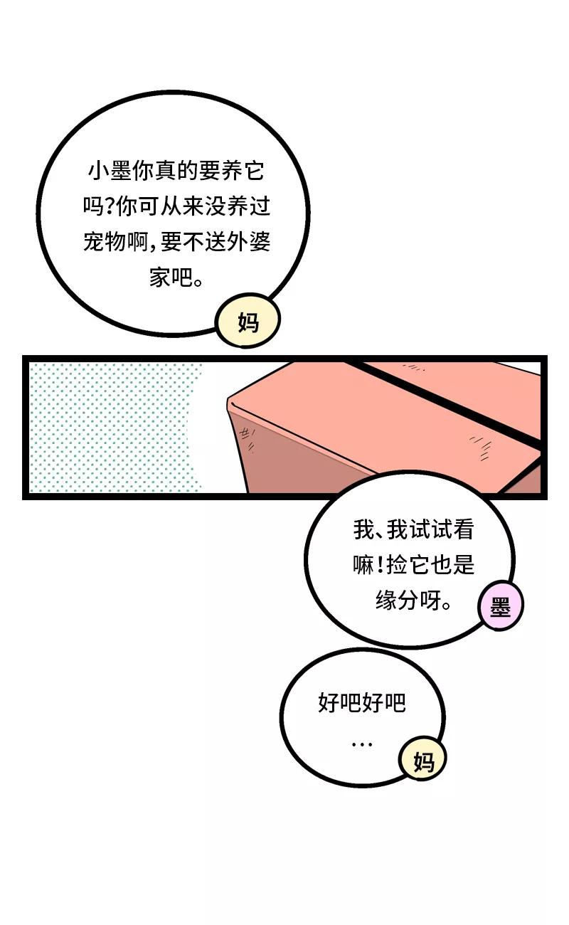 第11话一只特立独行的猫-周一至周末-森雨漫（第3张）