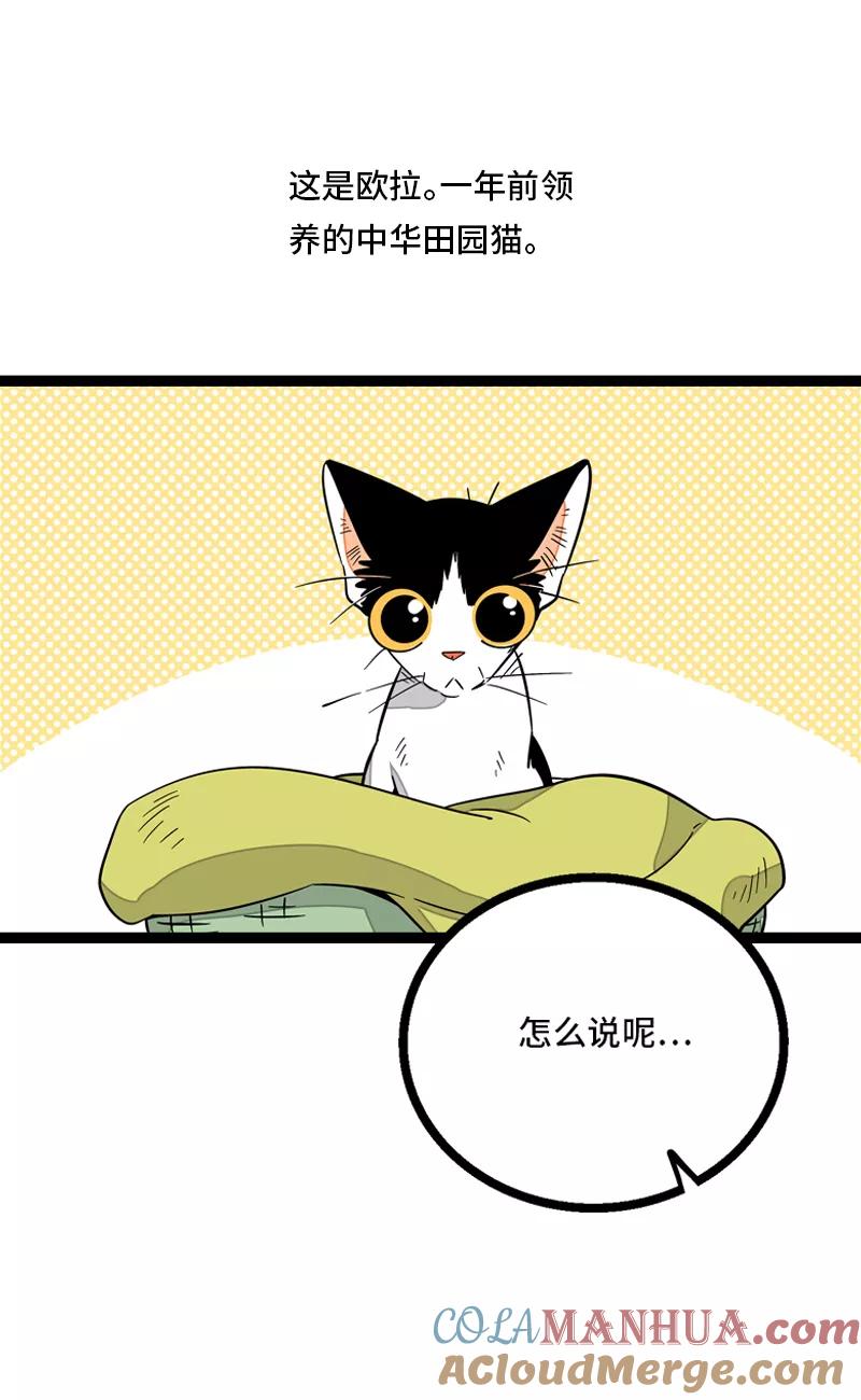 第11话一只特立独行的猫-周一至周末-森雨漫（第4张）