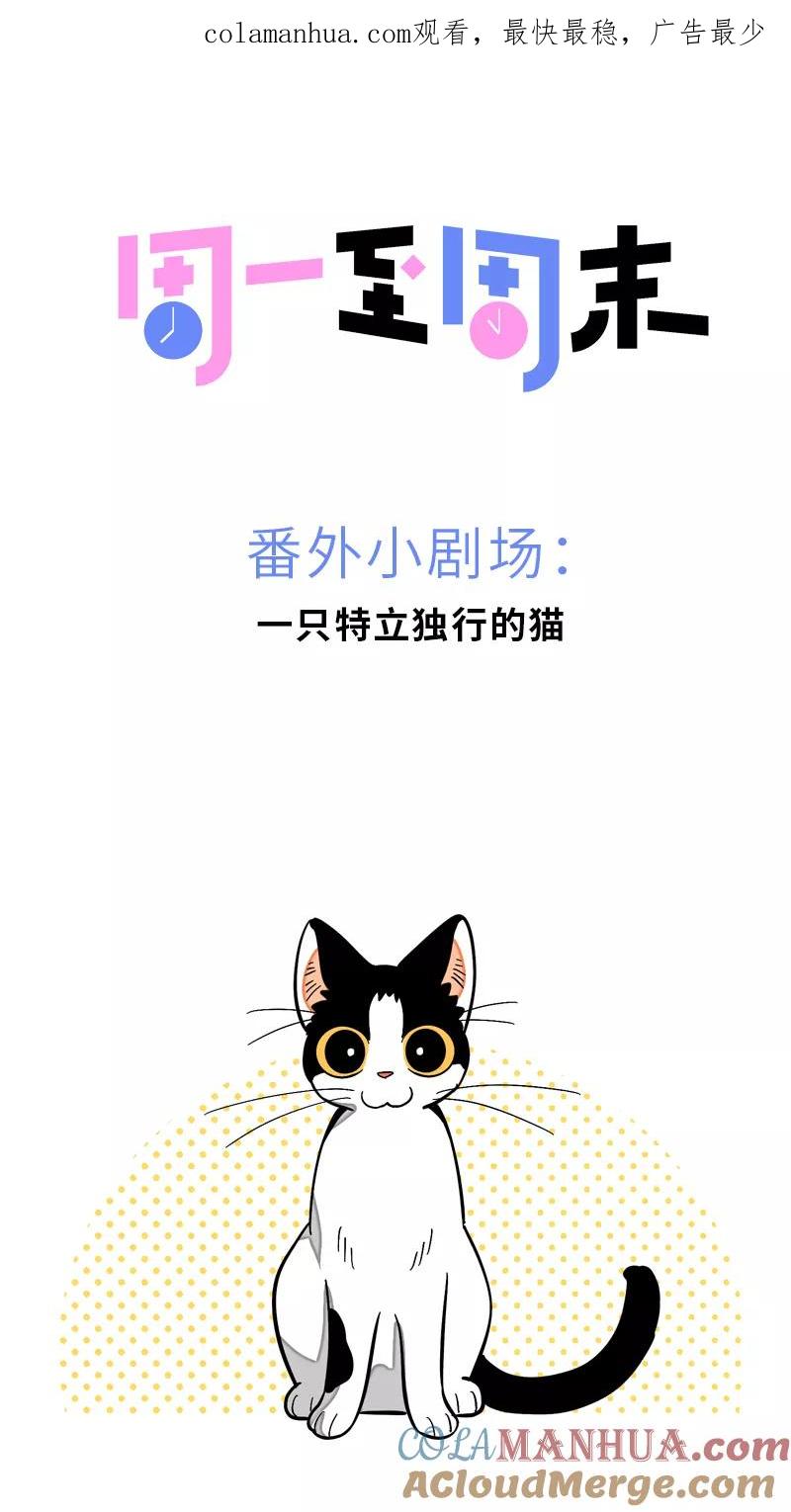 第11话一只特立独行的猫-周一至周末-森雨漫（第1张）
