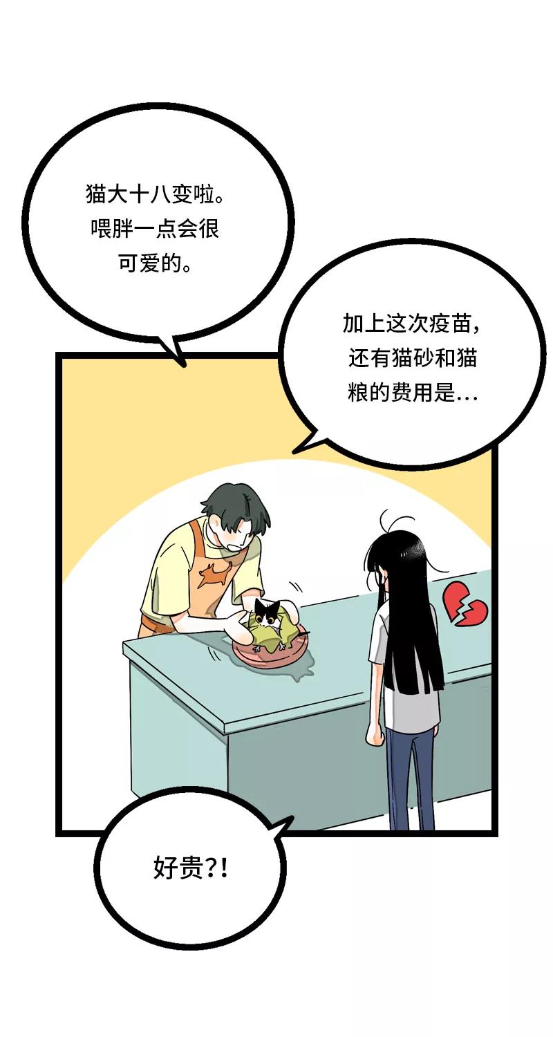 第11话一只特立独行的猫-周一至周末-森雨漫（第6张）