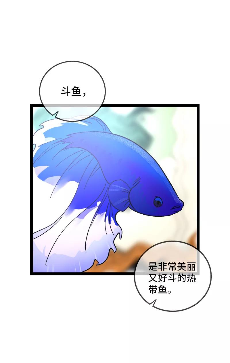 第138话斗鱼-周一至周末-森雨漫（第3张）