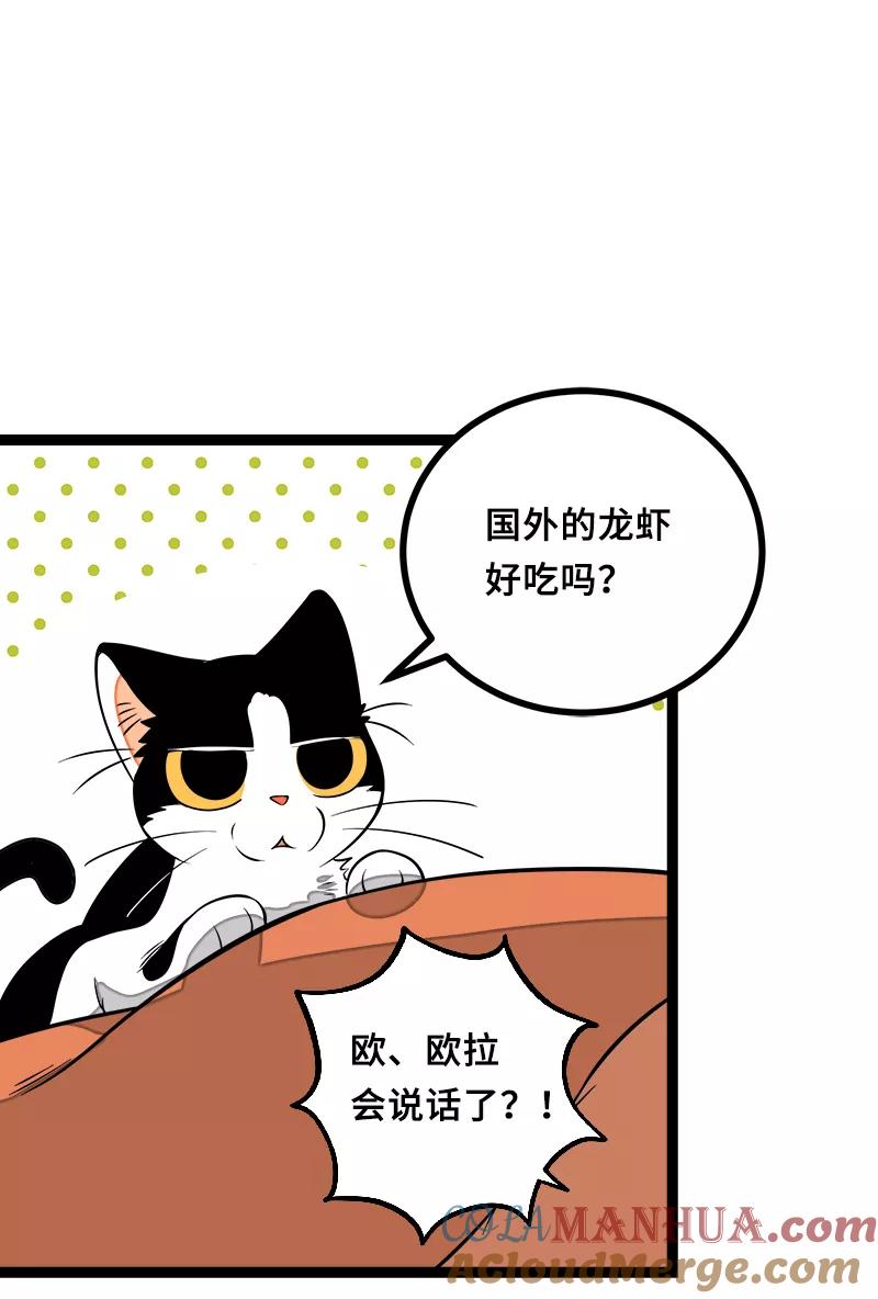第45话身为人的责任-周一至周末-森雨漫（第10张）