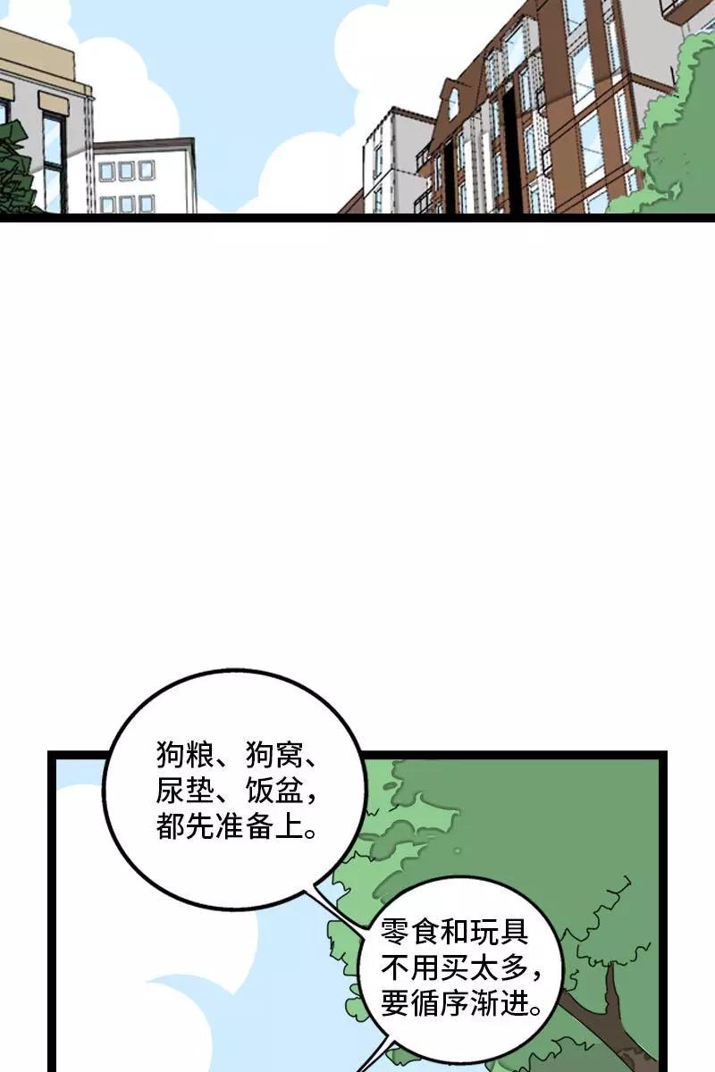 第70话幸运的小狗-周一至周末-森雨漫（第5张）