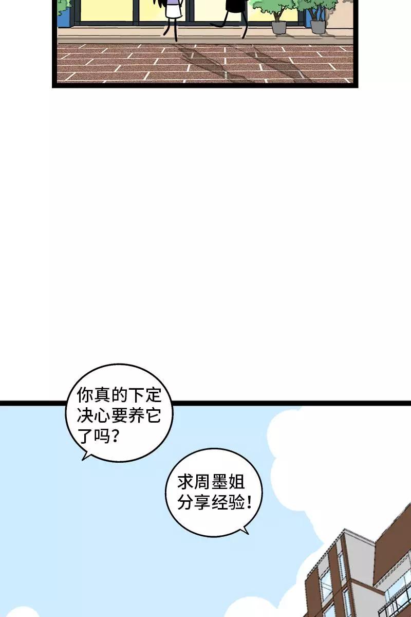第70话幸运的小狗-周一至周末-森雨漫（第4张）
