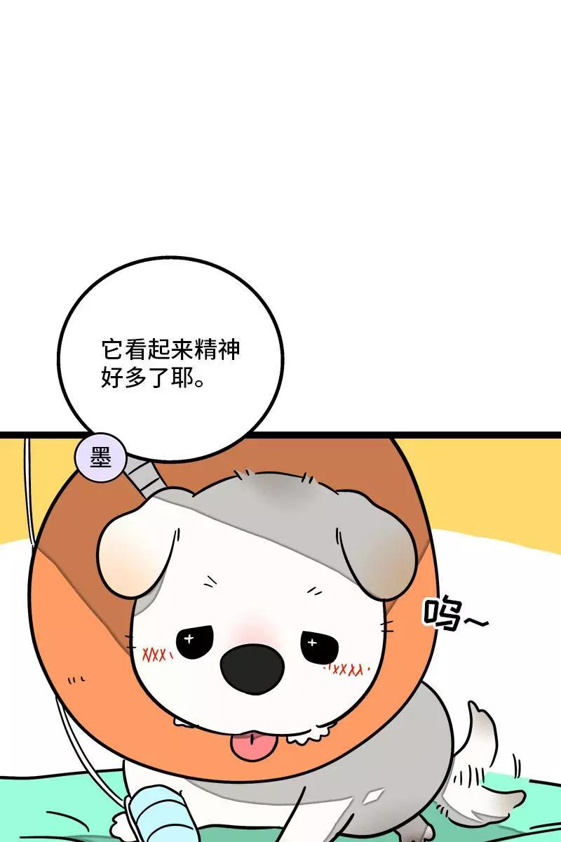 第70话幸运的小狗-周一至周末-森雨漫（第2张）