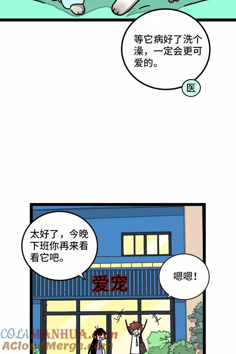 第70话幸运的小狗-周一至周末-森雨漫（第3张）