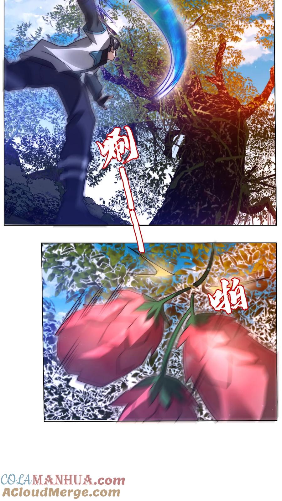 13.jpg