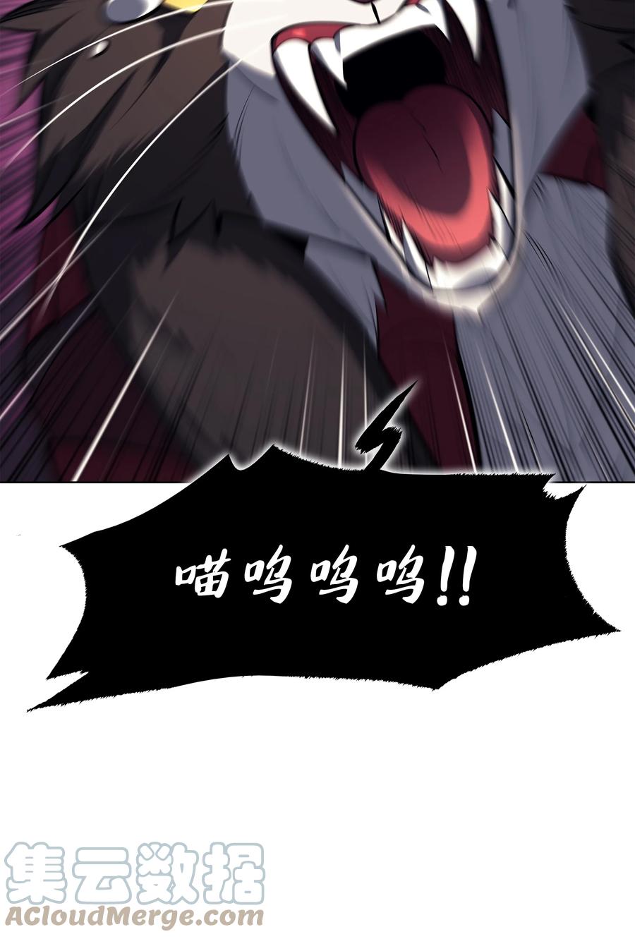 113.jpg