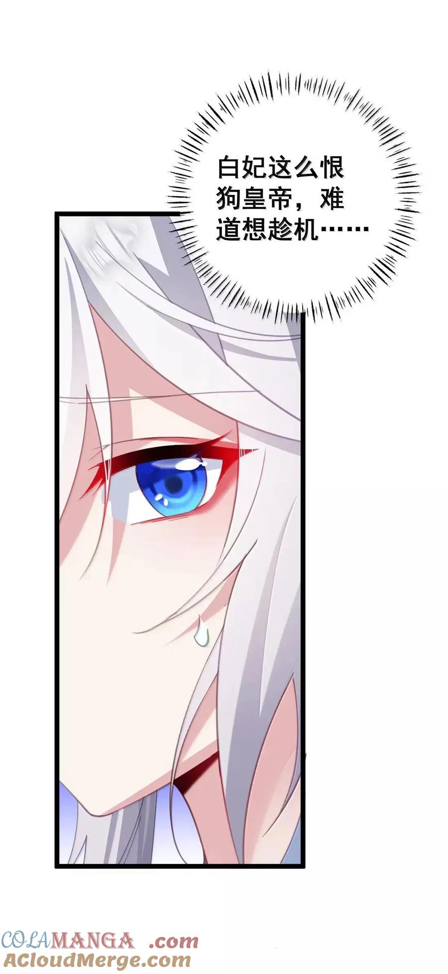31.jpg