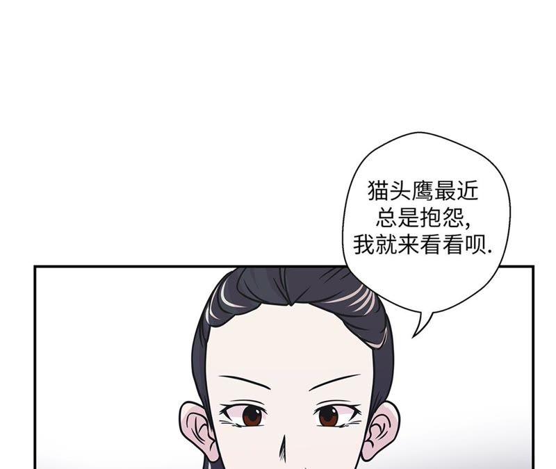 第77话庆典前夕-奇妙的动物高中-一漫文化（第12张）