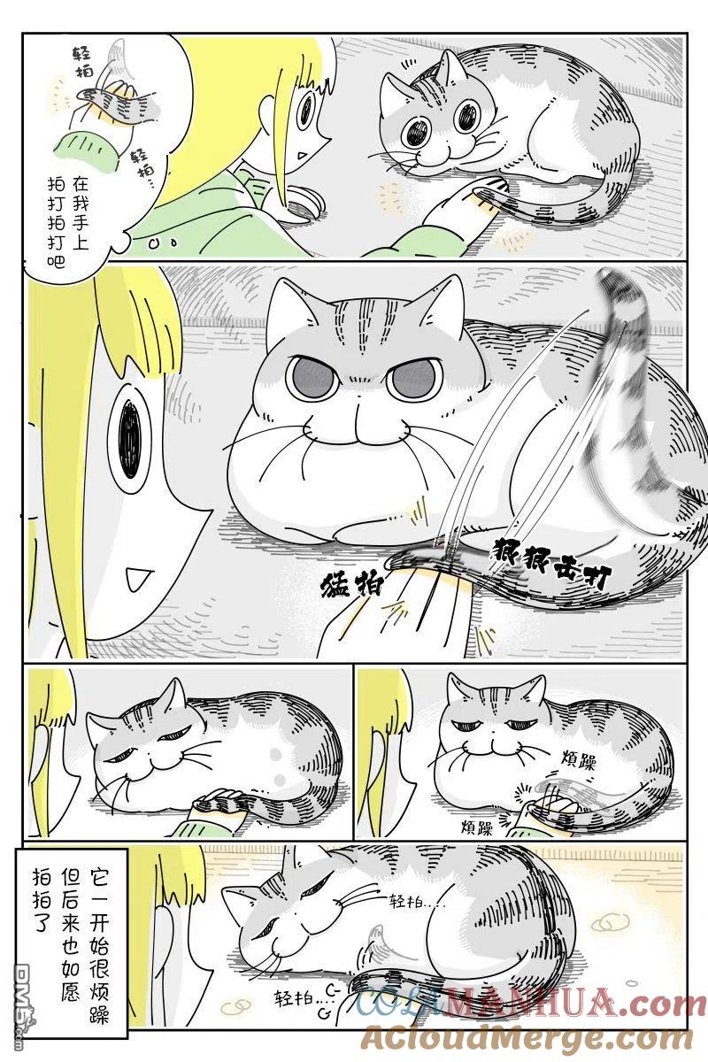 第106话-关于养猫我一直是新手-キュルZ（第1张）