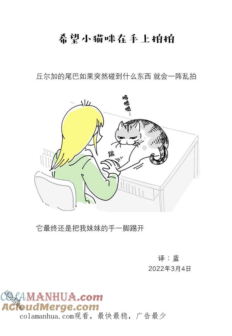 第106话-关于养猫我一直是新手-キュルZ（第2张）