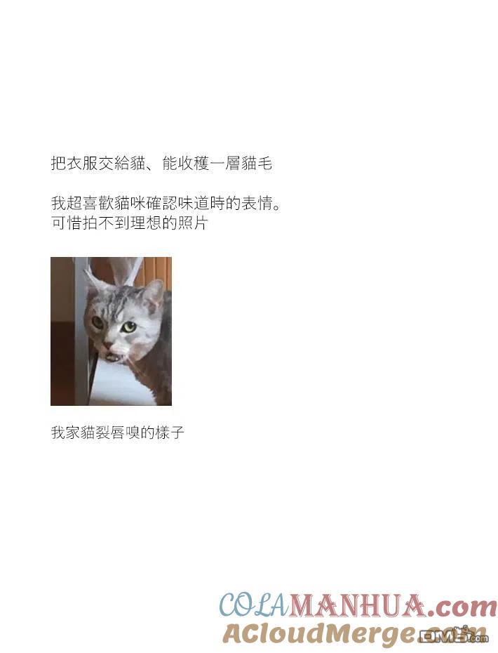 第15话-关于养猫我一直是新手-キュルZ（第4张）