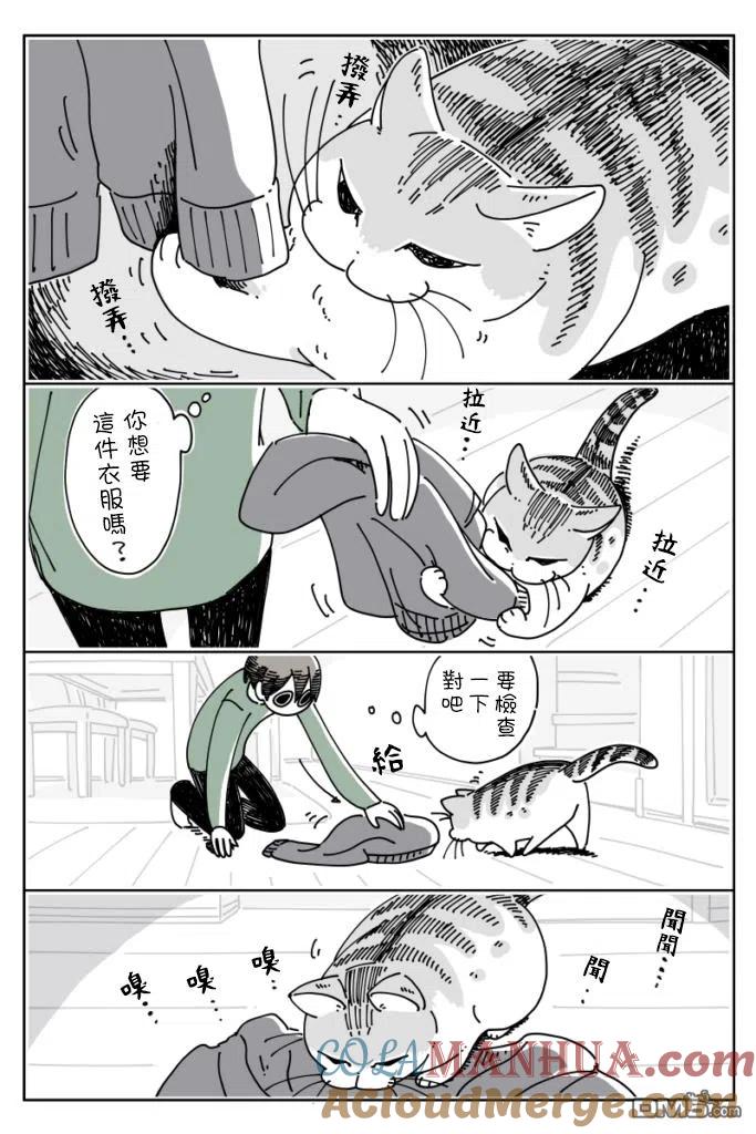 第15话-关于养猫我一直是新手-キュルZ（第2张）