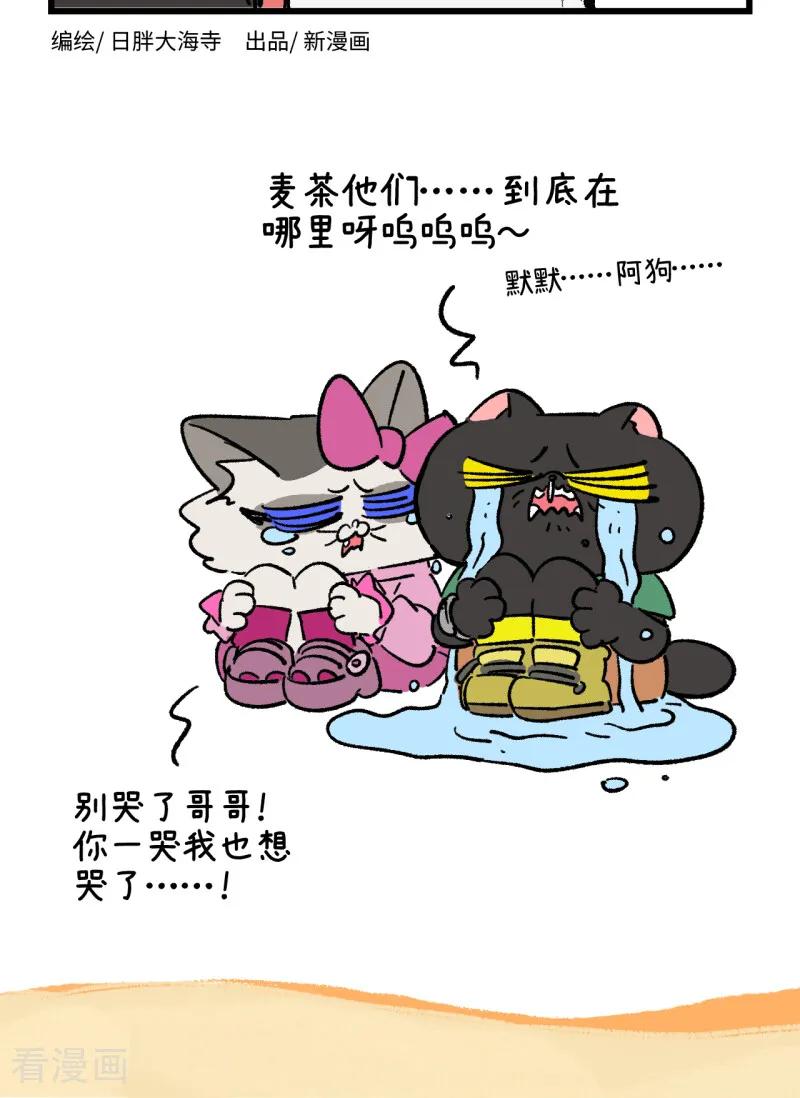 第265话-阿满和麦茶-新漫画 日胖大海寺（第2张）