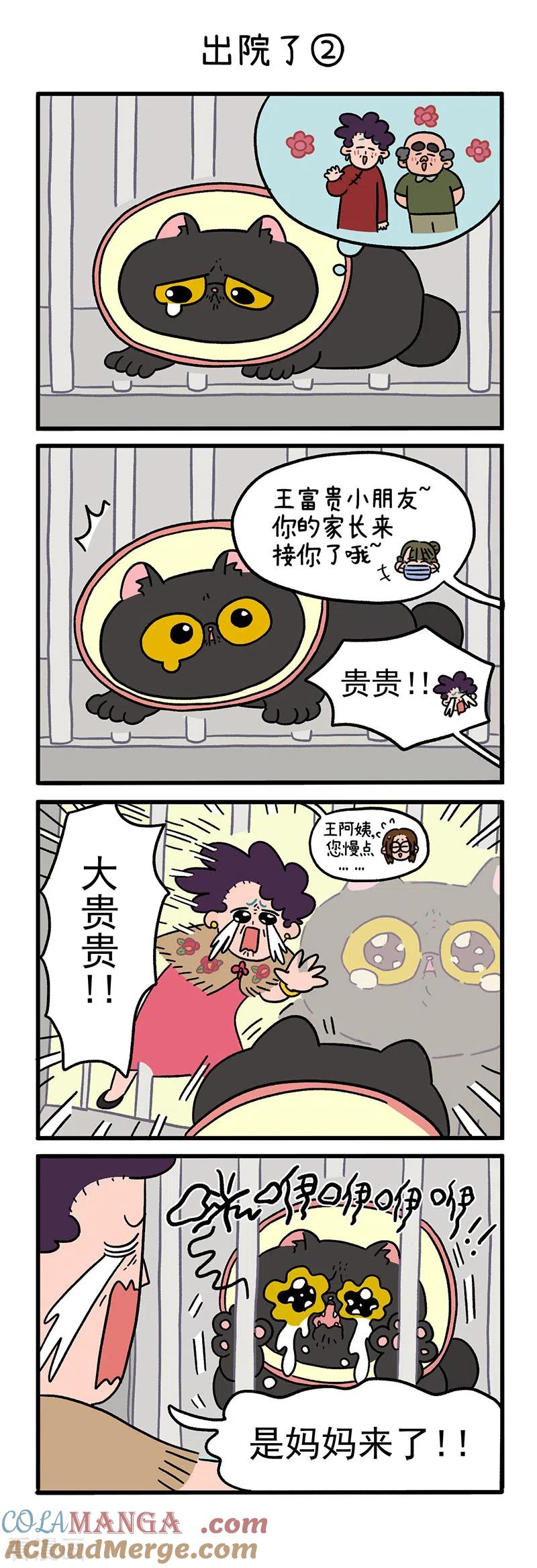 第21话出院了-阿满和麦茶-新漫画 日胖大海寺（第3张）