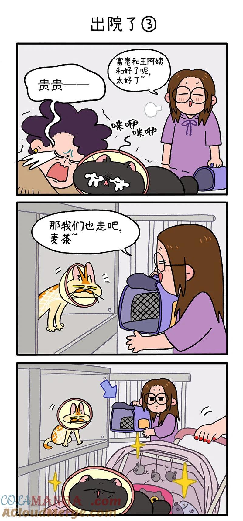 第21话出院了-阿满和麦茶-新漫画 日胖大海寺（第4张）