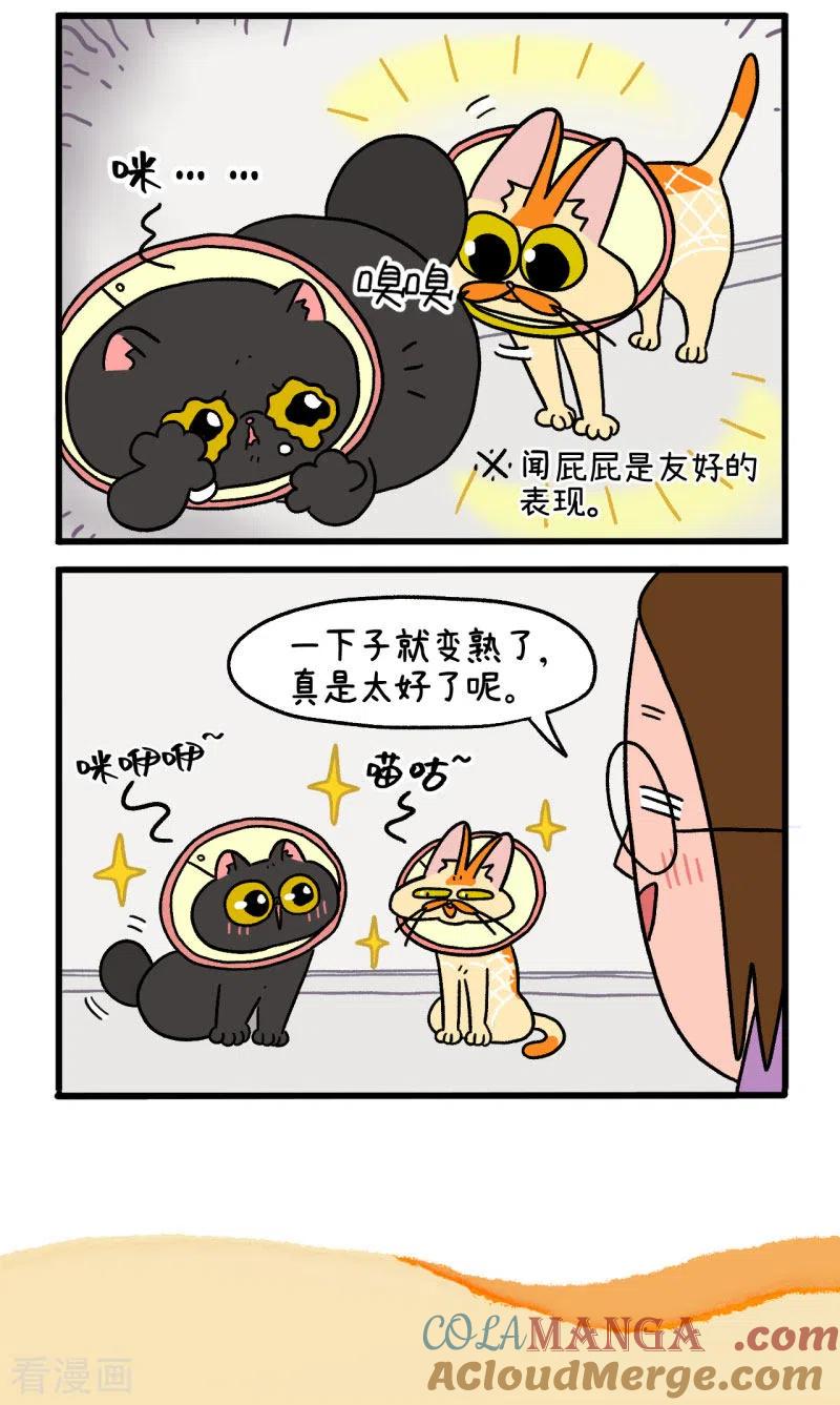 第22话1到王阿姨家做客了-阿满和麦茶-新漫画 日胖大海寺（第5张）