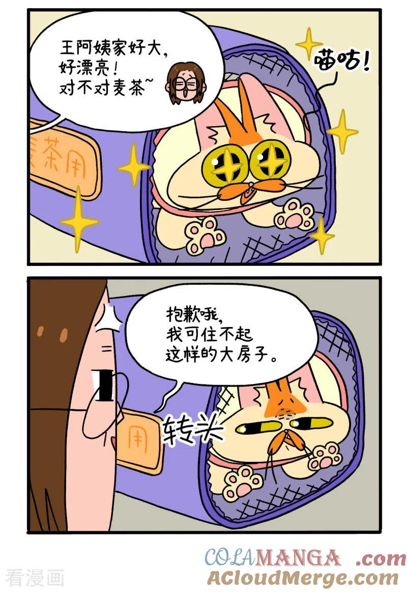 第22话1到王阿姨家做客了-阿满和麦茶-新漫画 日胖大海寺（第2张）