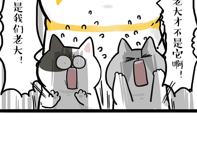 44.jpg