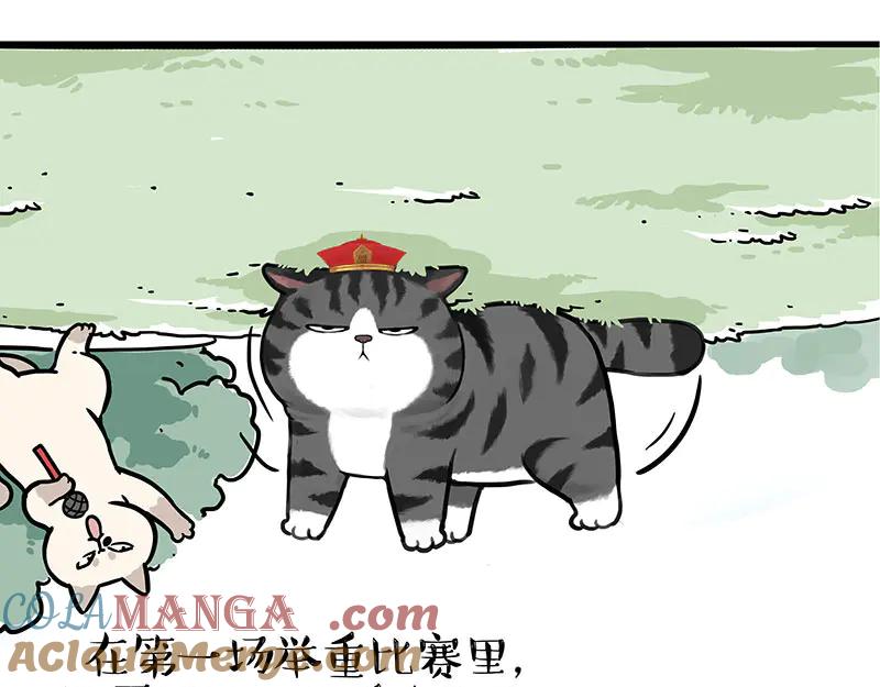 25.jpg