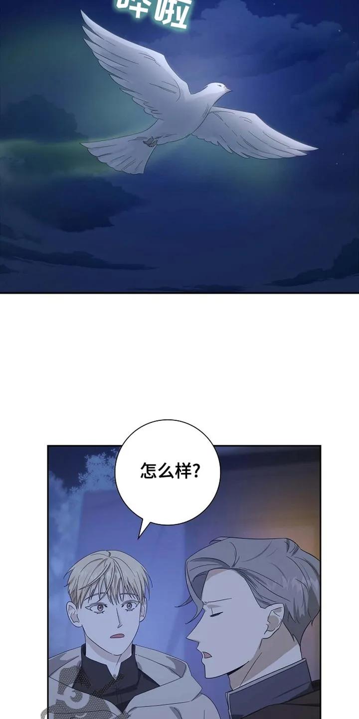 第137章：【第三季】这是怪物-姻缘天注定-ROAMM（第1张）