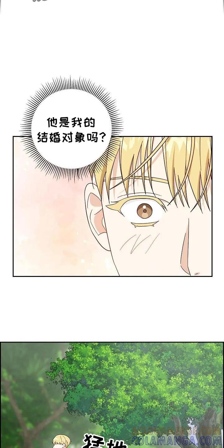 第69章：【第二季】答案-姻缘天注定-ROAMM（第22张）