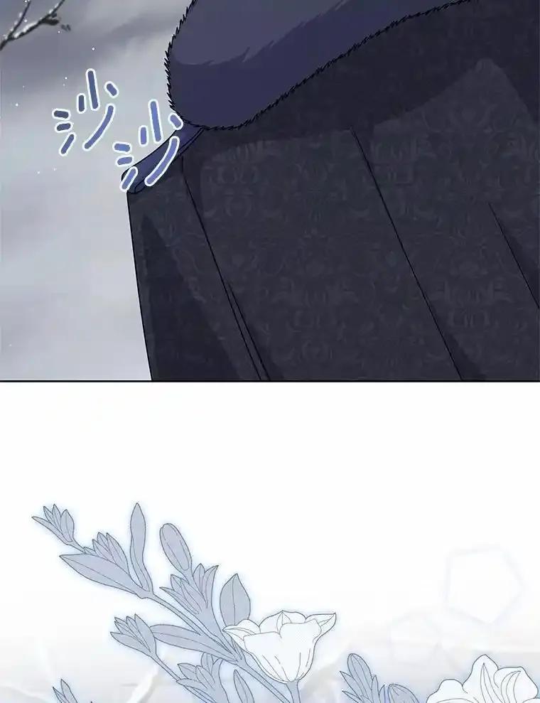 95.jpg