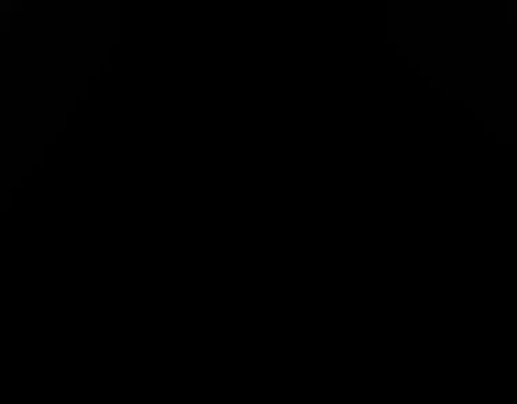 85.jpg