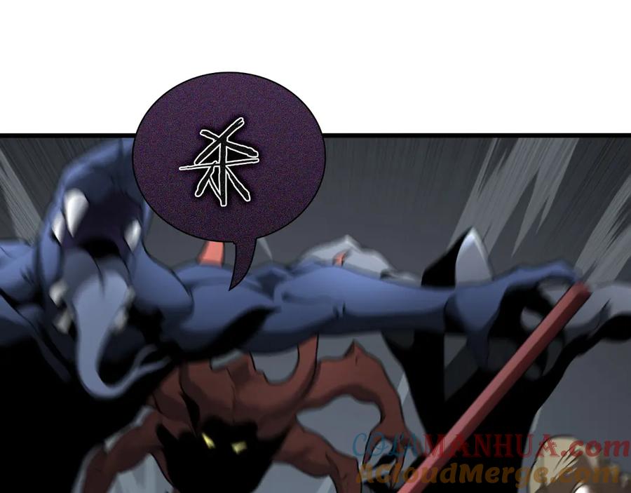 113.jpg