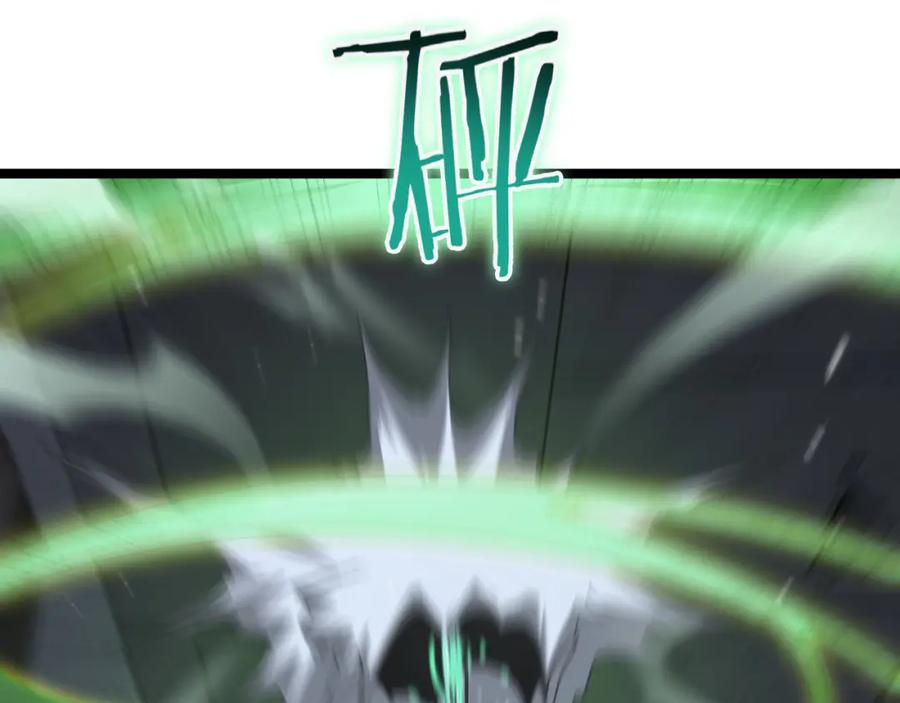 164.jpg