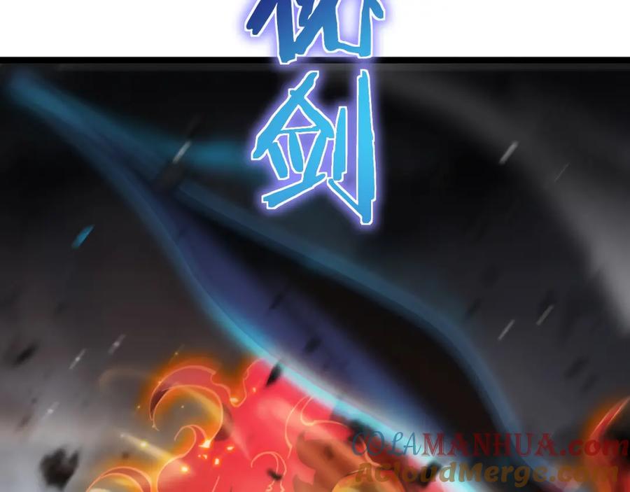 161.jpg