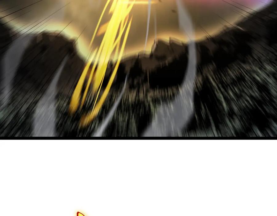 113.jpg