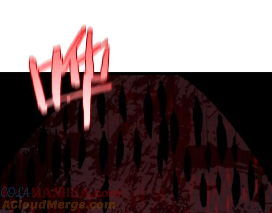 117.jpg