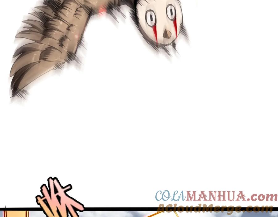 97.jpg