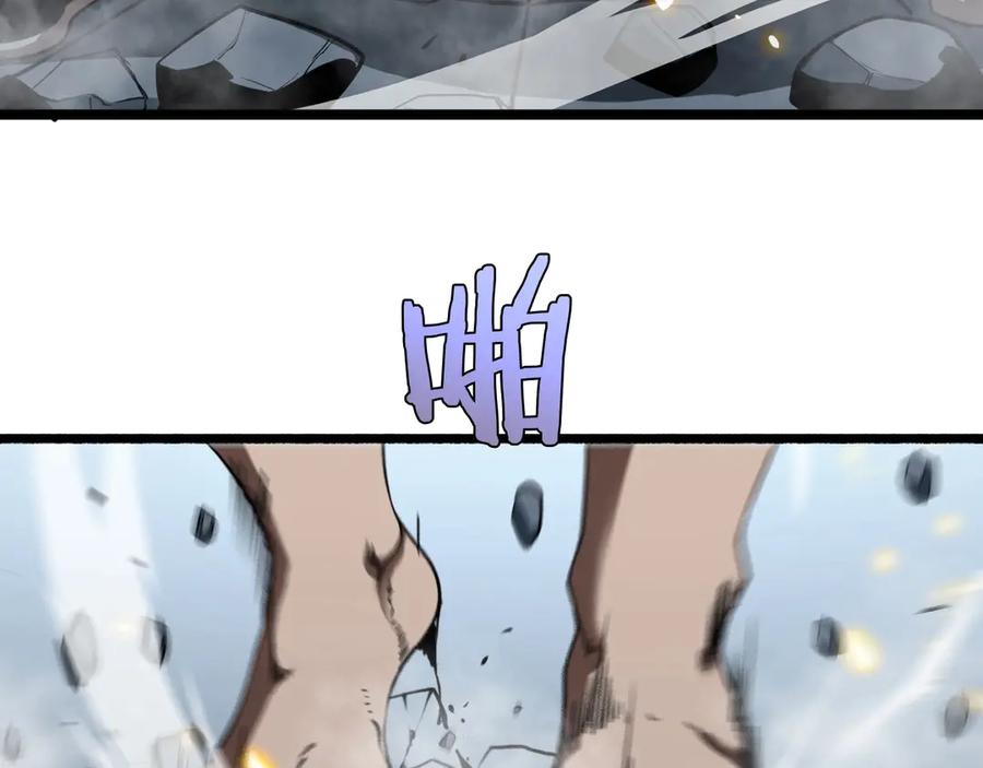 146.jpg
