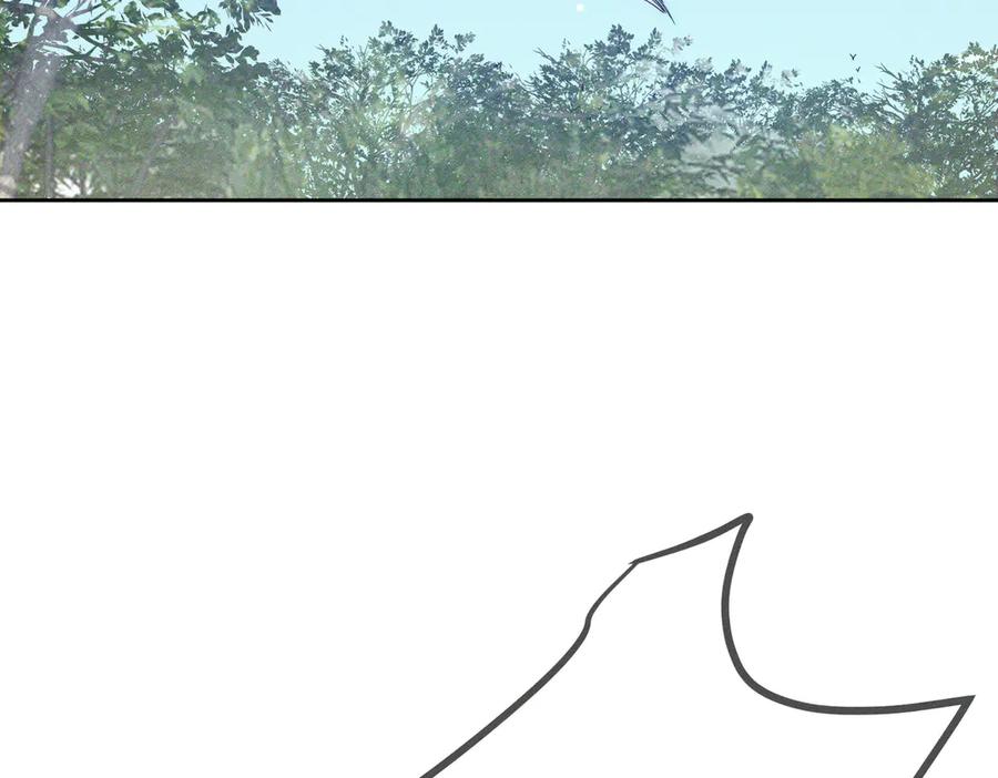 78.jpg
