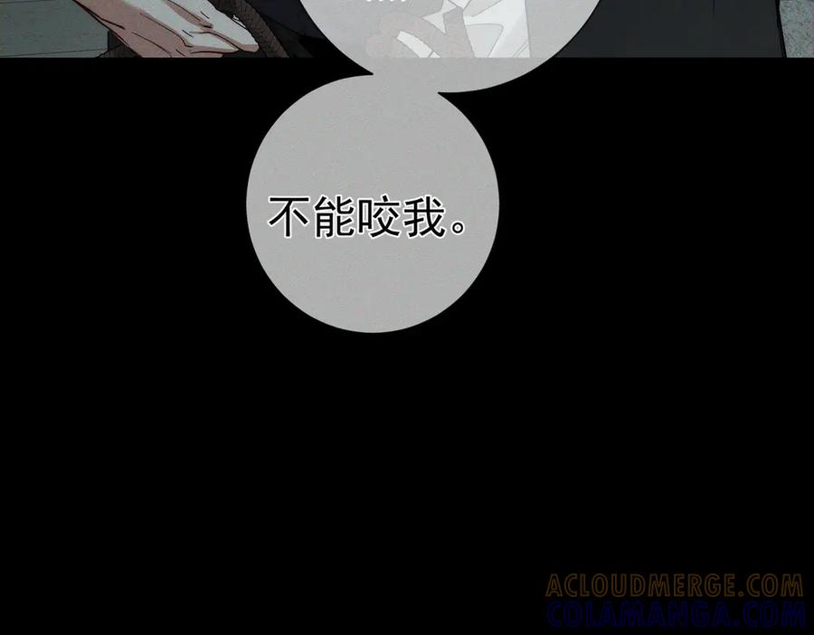 第242话：搜刮物资-主角只想谈恋爱-煮个甜粽（原著）+蜂漫社（第41张）